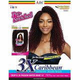 Afri-Naptural Crochet Hair Afri-Naptural: 3X Passion Water Wave 14" (CB3P15)