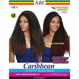 Afri-Naptural Crochet Hair Afri-Naptural: Caribbean Passion Water Wave 18" (CB1807)