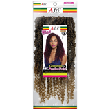 Afri-Naptural Crochet Hair Afri-Naptural Gorgeous Passion Twist 14” (TWB213)
