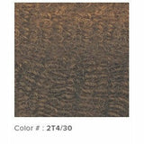 Outre Crochet Hair #2T4/30 Outre: X-Pression Twisted Up 3X Springy Afro Twist 24"Crochet Braids